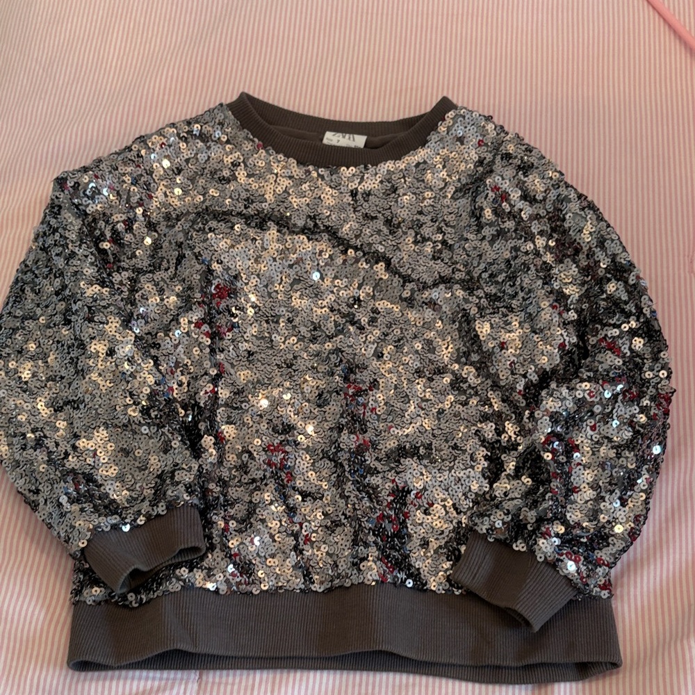 Zara Silver Sequin Sweatshirt with Gray Trim